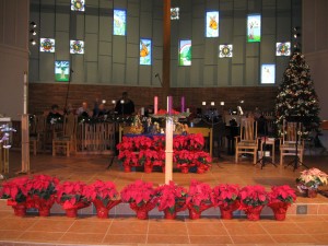 IMG_0533