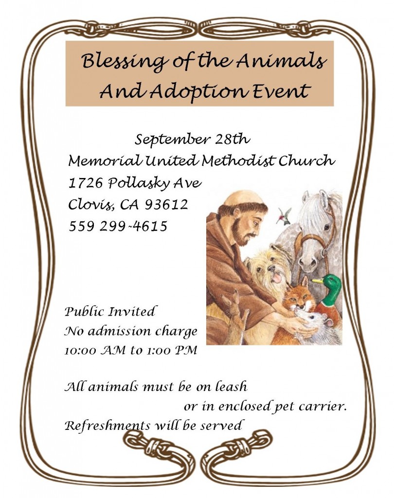 Blessing of the Animals 2013